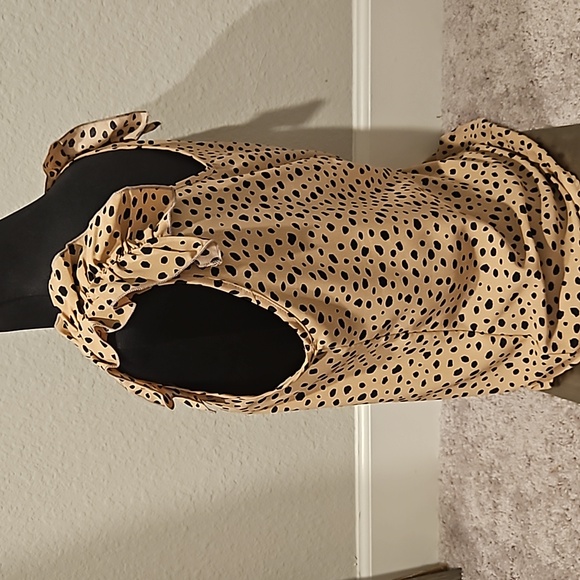 Dalmatian Tank - Picture 5 of 5